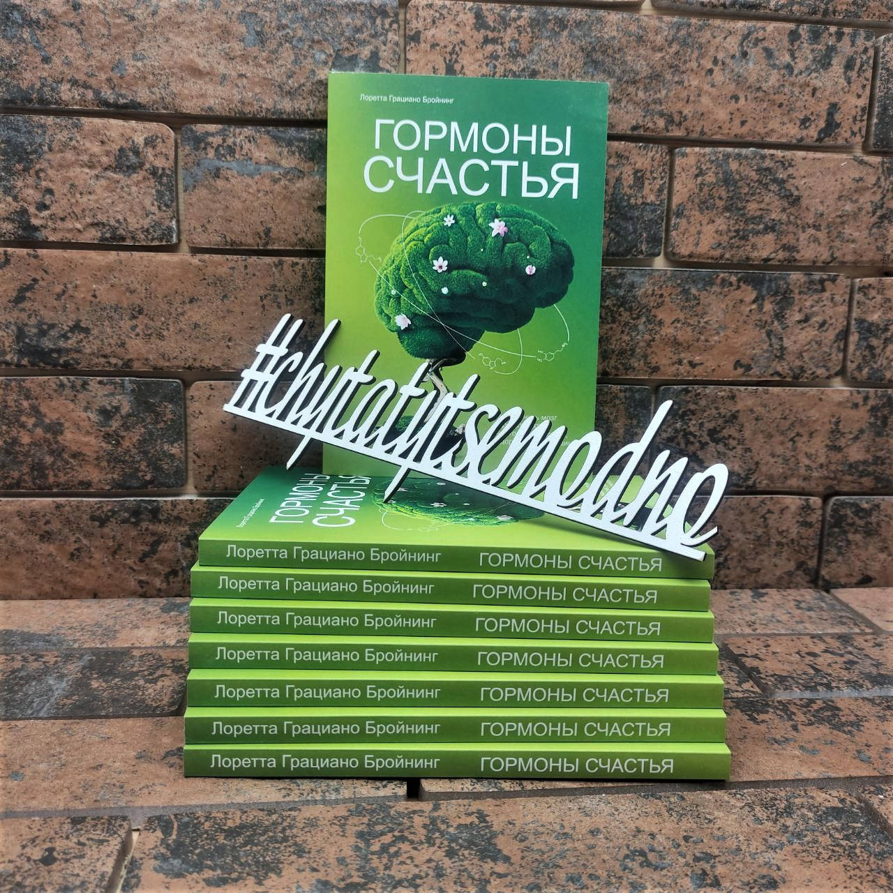 

Гормоны счастья. Лоретта Грациано Бройнинг