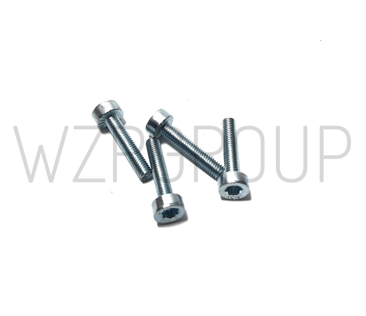 

Болт крепления поддона цилиндра ST 180 (4 шт) WINZOR
