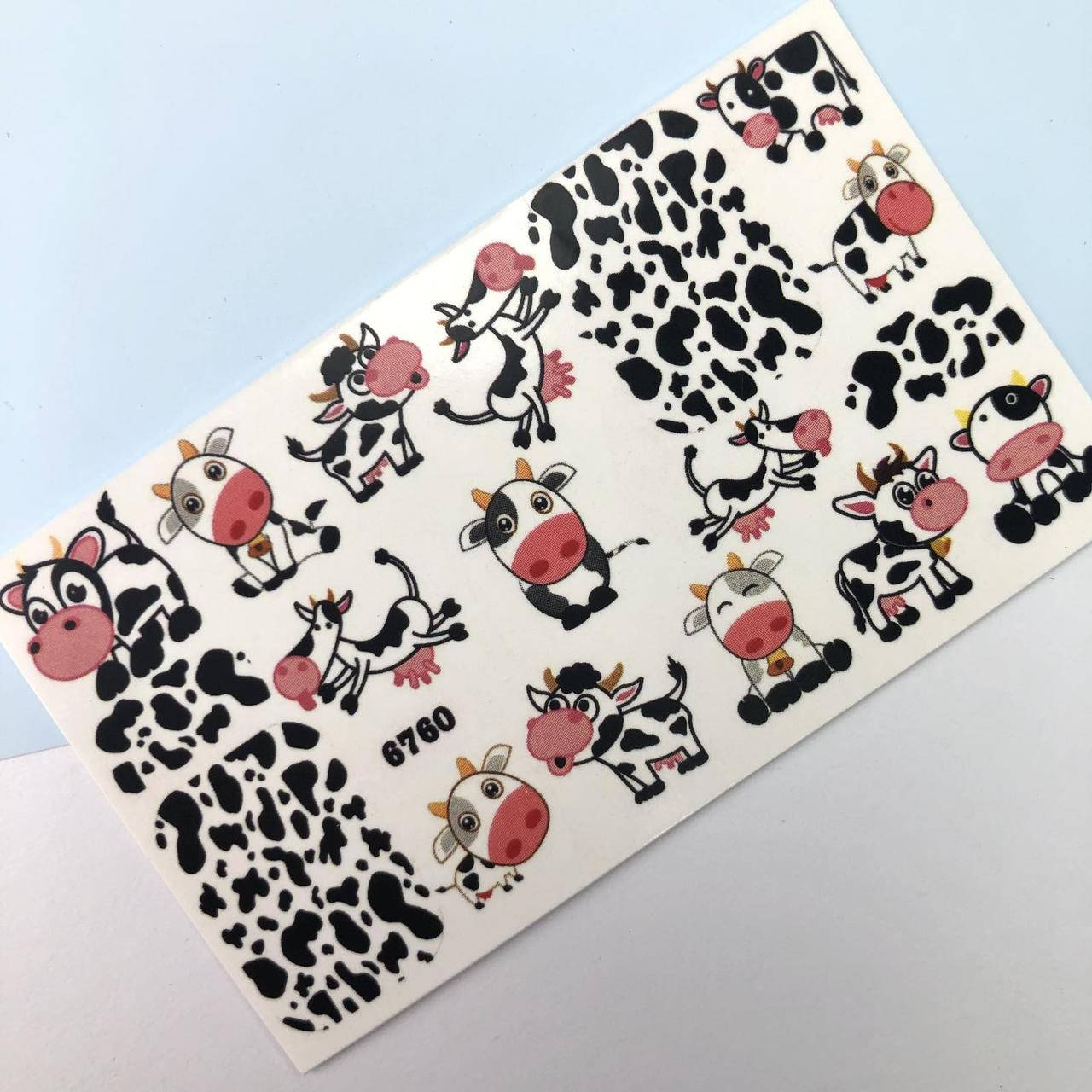 

Слайдер-дизайн 6760