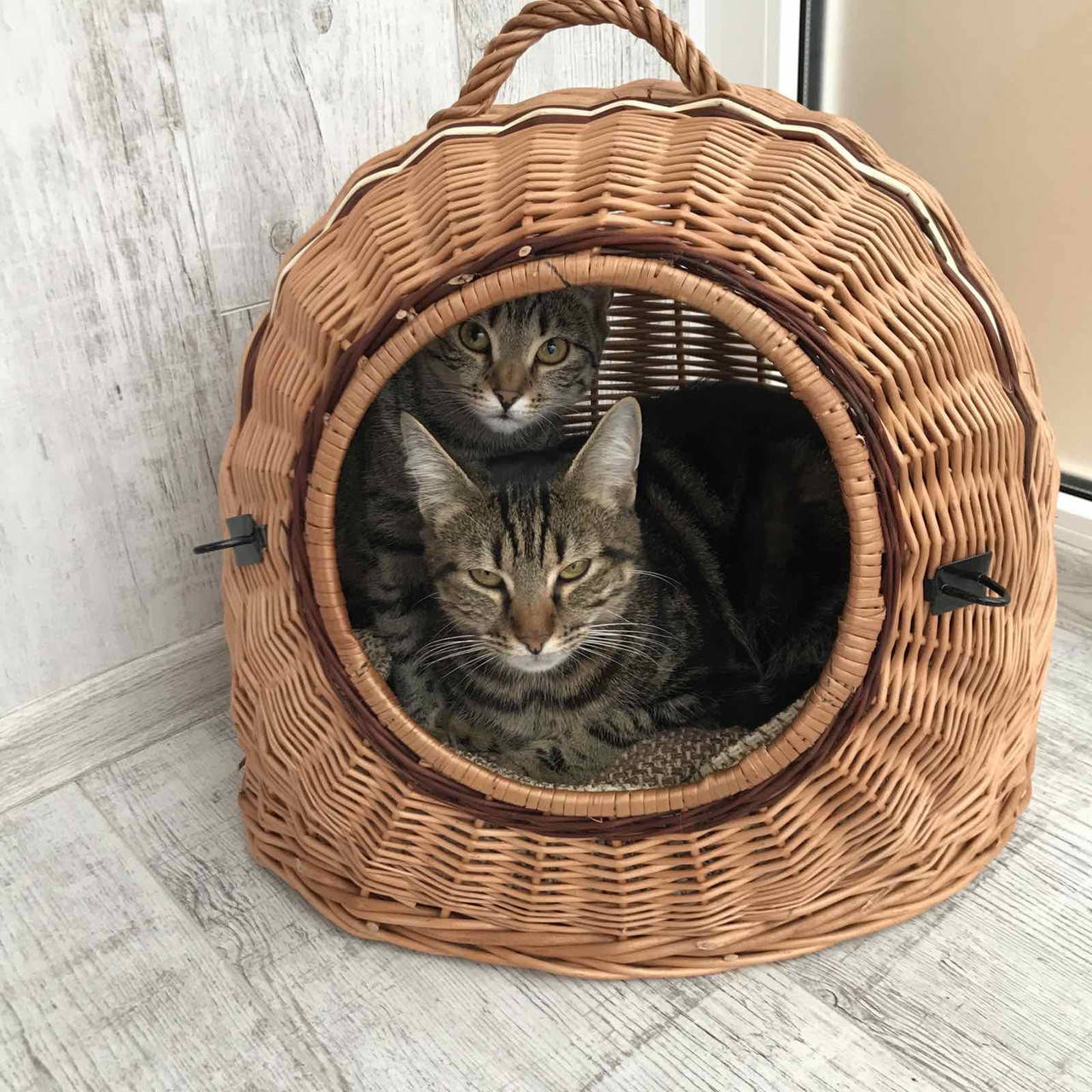 

Корзина переноска для животних із лози. Домик для кошек