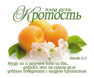 

Открытка карточка "Плод духа: Кротость"