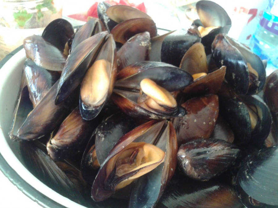 

Мидии в ракушке ( Микс) от 5 кг