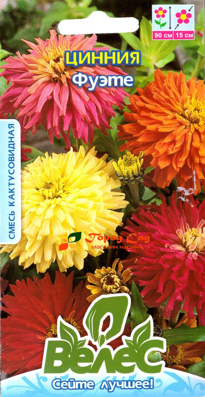 

Семена циннии Фуэте 0,5г ТМ ВЕЛЕС