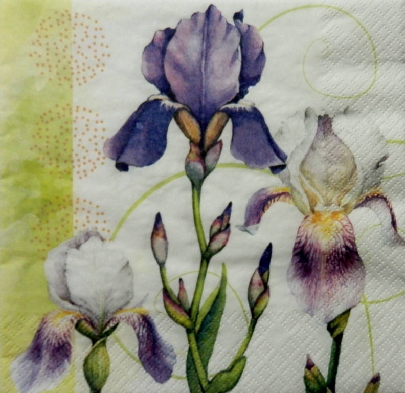 

Салфетка для декупажа ЦИ-03 (33х33см)