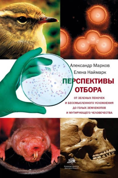 

Перспективы отбора / Александр Марков, Елена Наймарк /