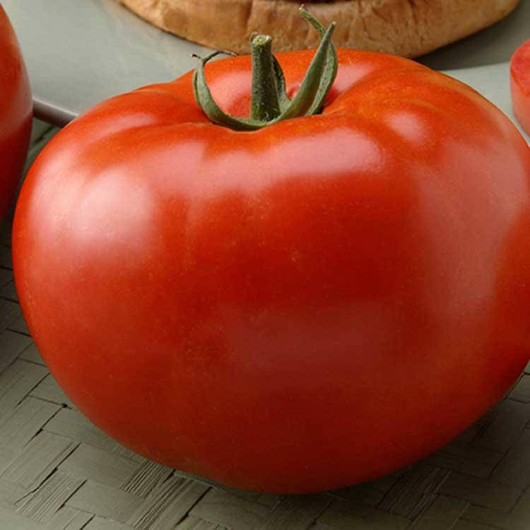 

Томат Бег Биф F1 / Big Beef F1 10 семян, индетерминантный (Seminis)