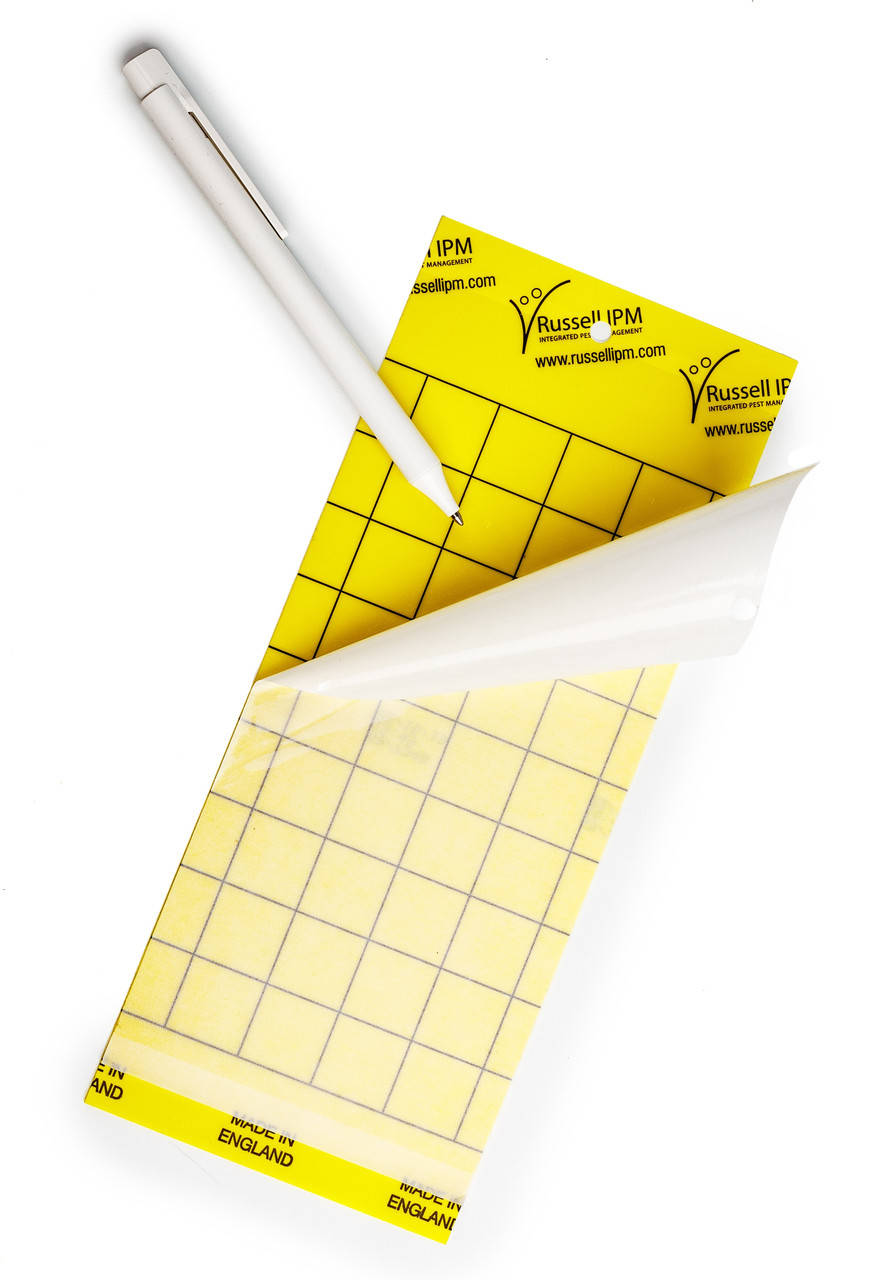 

Мониторинговая ловушка Russell IPM Yellow Glue Boards Желтая 10х25 см