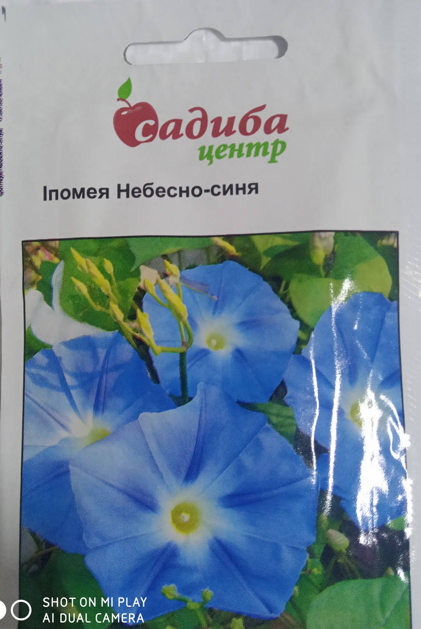 

Насіння іпомея Небесно - синя 0,5 гр. "HEM ZADEN" Нідерланди, Голубой
