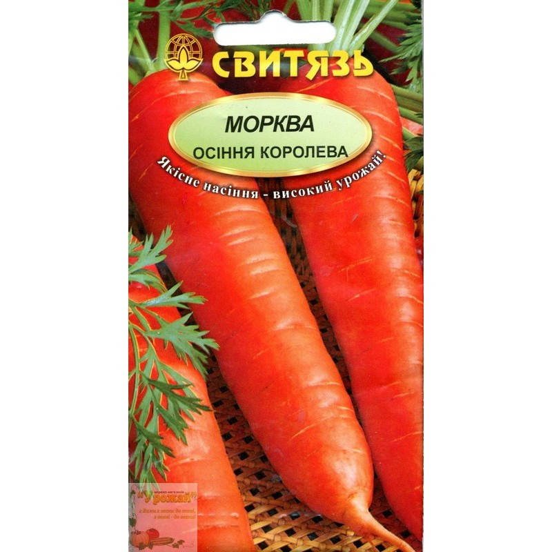 

Семена морковь столовая Осенняя королева, 5 г