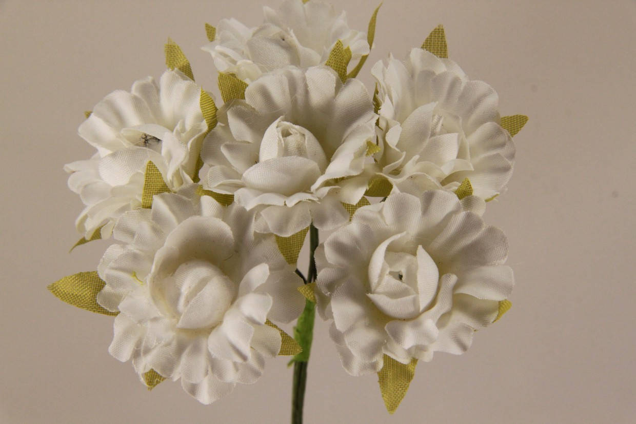 

5634-1-12 белый