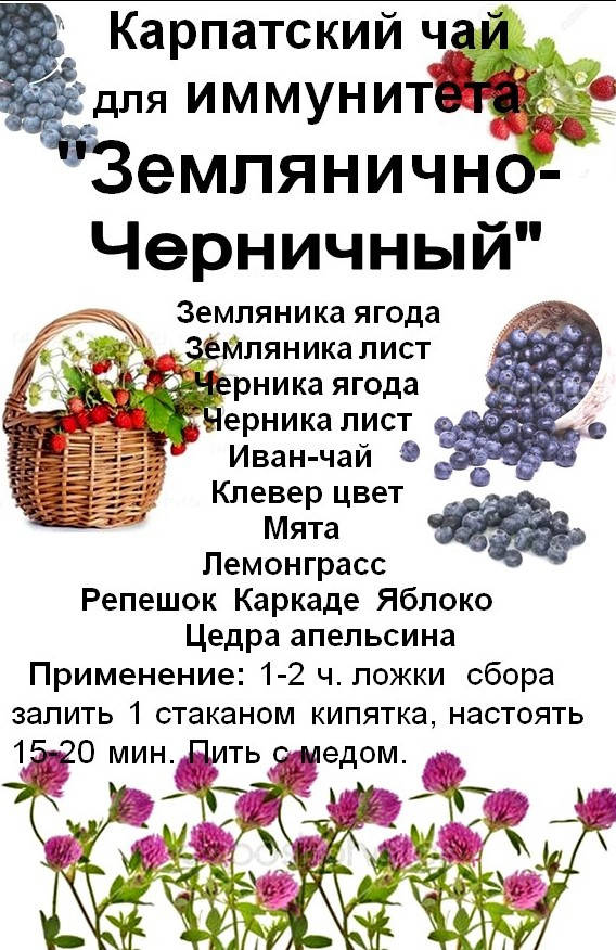 

Ягодно-травяной сбор для укрепления иммунитета "Карпатский землянично-черничный"