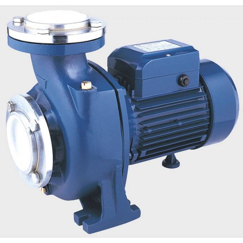 

Поверхностный Насос Euroaqua NF130B