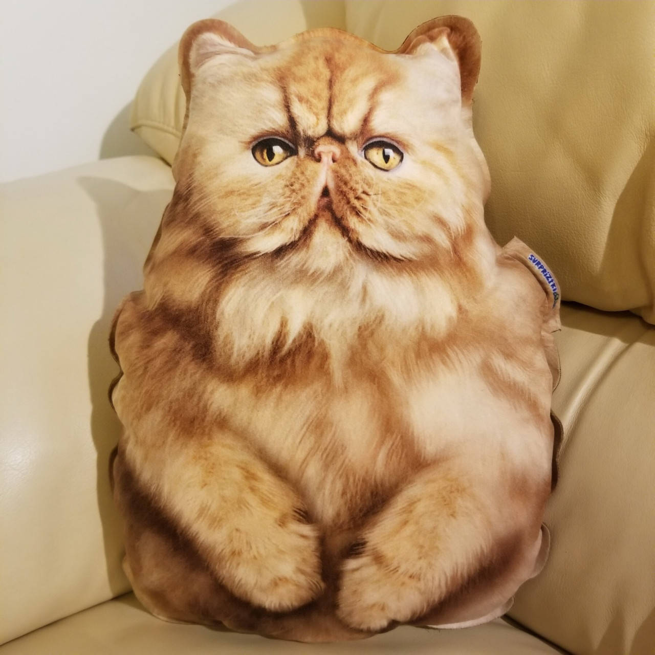 

Подушка-игрушка. Персидский рыжий, котенок.