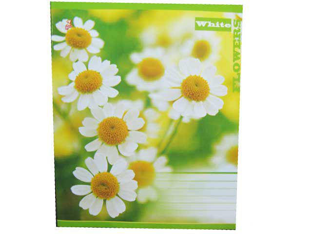 

Тетрадь для конспектов 60листов клетка (1 шт)