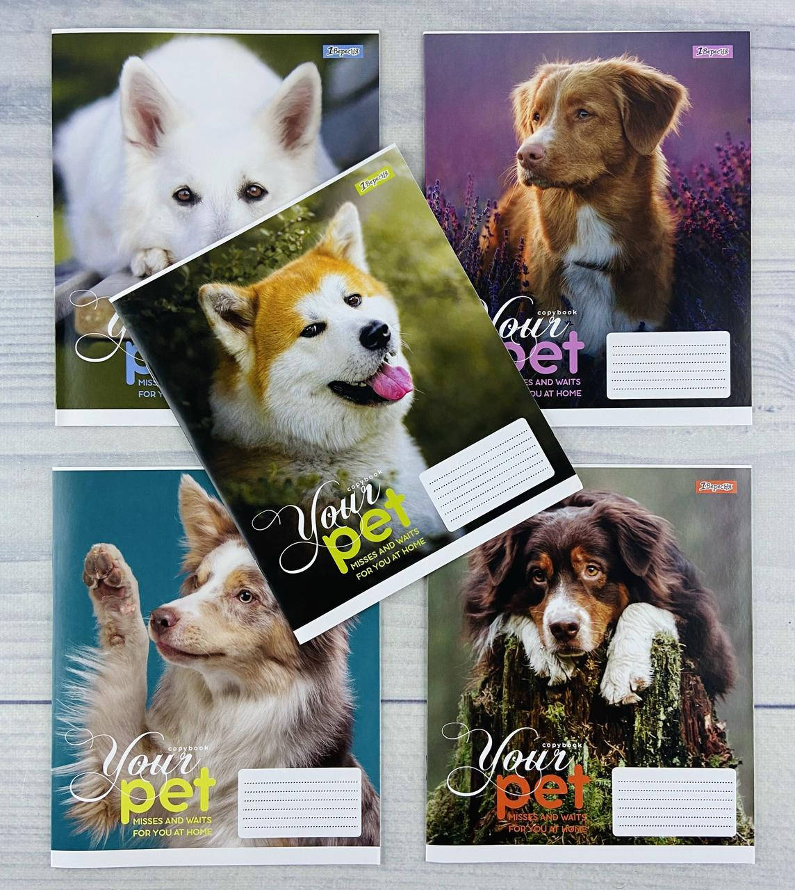 

Тетрадь на 12 листов в косую линию Dog loyality-21 765414 32092Ф 1 вересня Украина