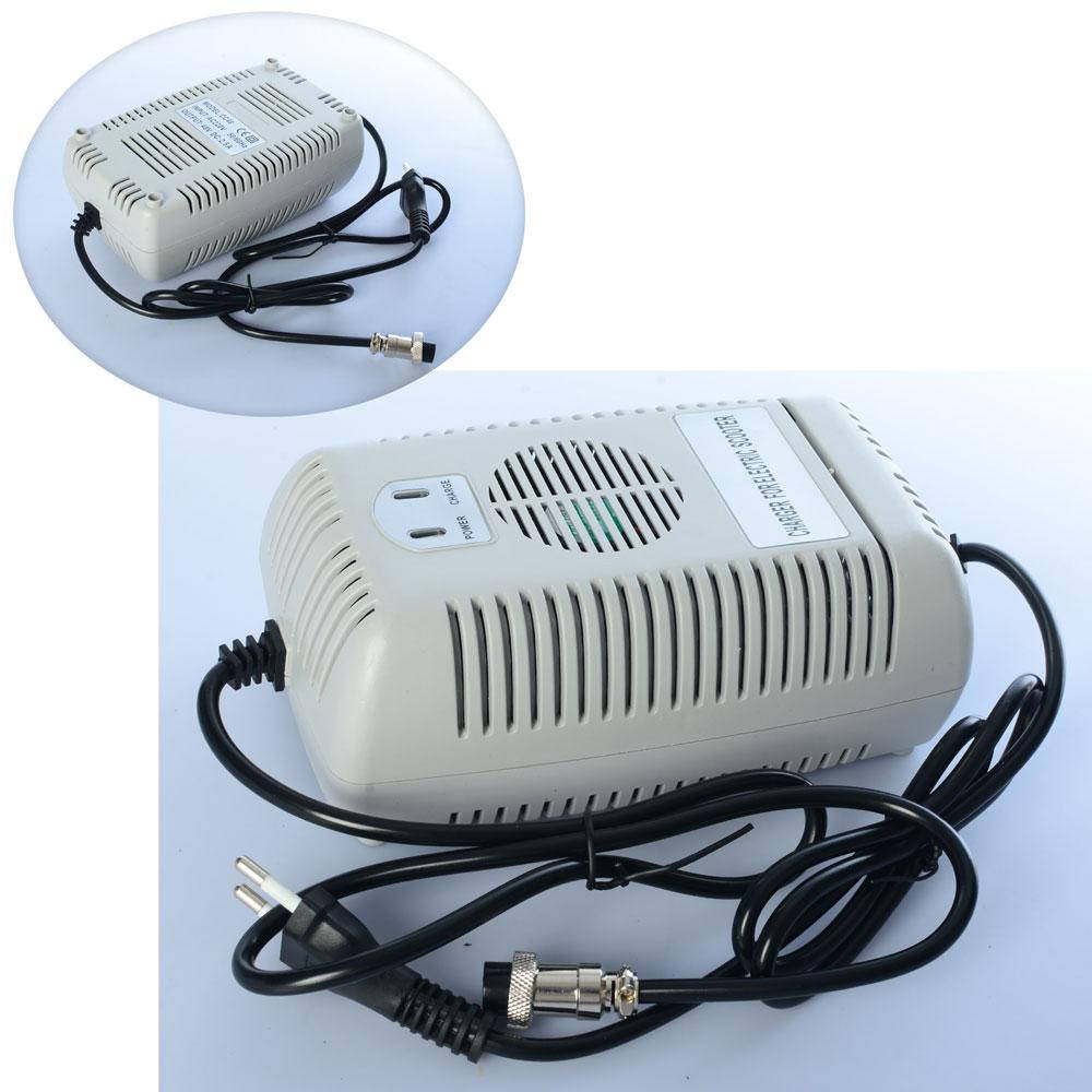 

Зарядное устройство CHARGER-1000D(1000Q2) для квадроцикла 1000D(1000Q2), 48V, 2.5A