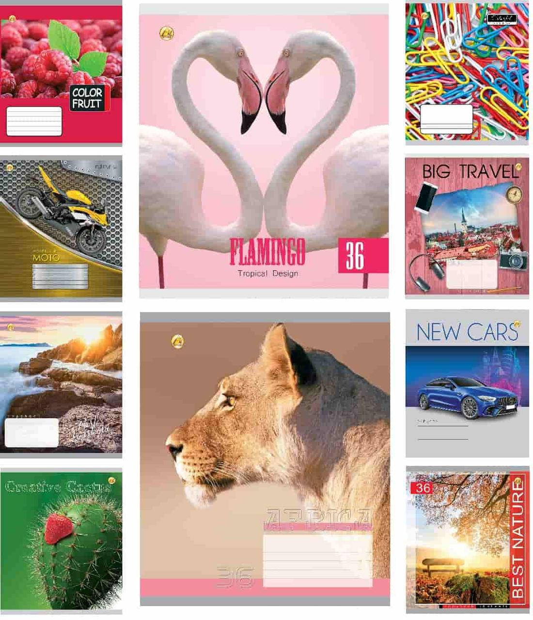 

Тетрадь 36 л клетка Твердая ТЕ01485 Микс 36КВ2