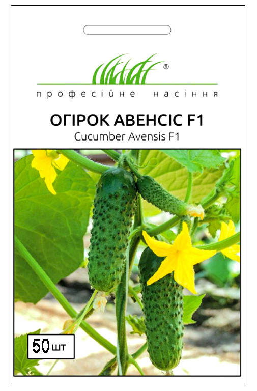 

Професійне насіння. Семена огурец Авенсис F1 50 шт