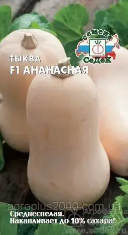 

Семена Тыква Ананасная F1 1 грамм Седек