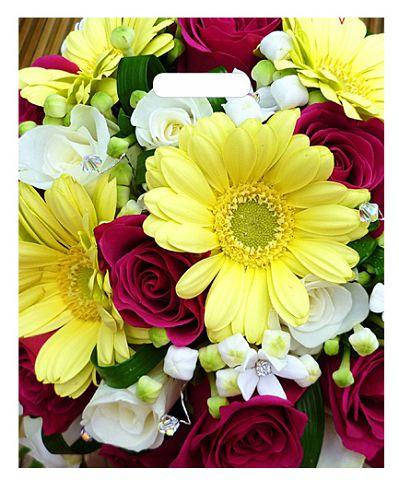 

Пакеты полиэтиленовые типа банан 30см 37см Гербера (50 шт)