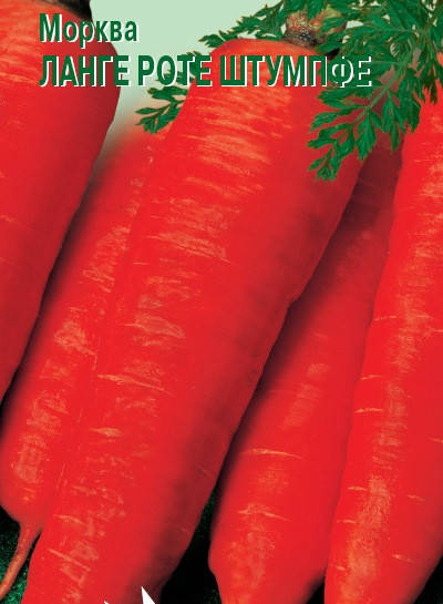 

Морква Ланге Роте Штумпфе