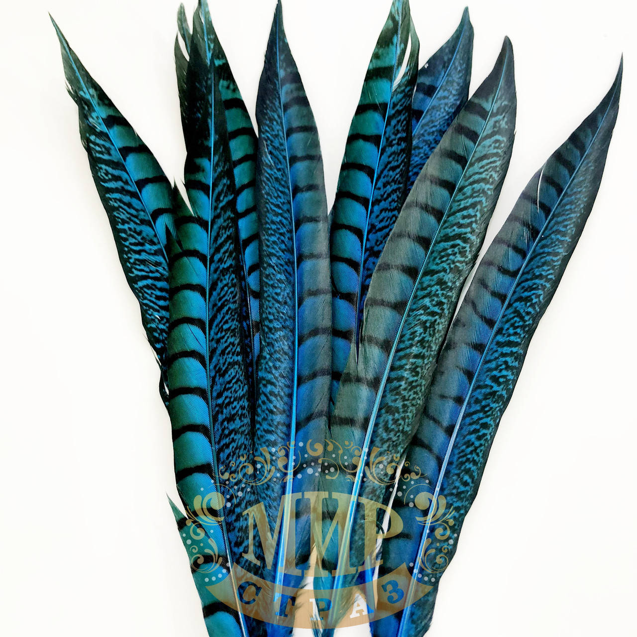

Перо фазана, цвет Blue Zircon, длинна 30-35см*1шт