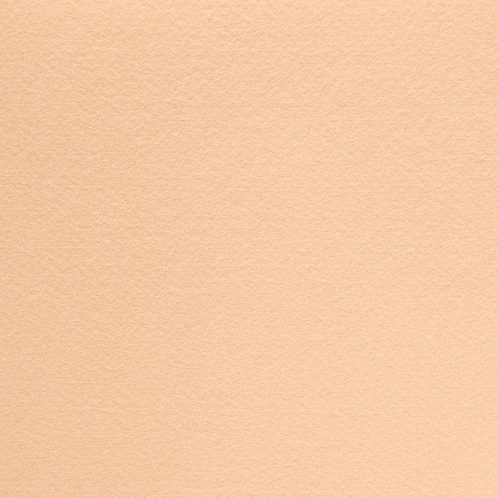 

Фетр корейский жесткий 1.2 мм, 22x30 см, БЕЖЕВО-ПЕСОЧНЫЙ 812