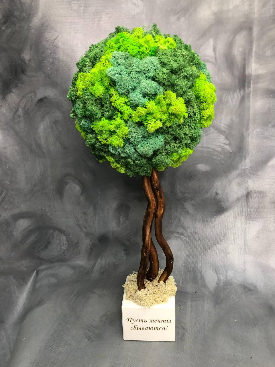 

Дерево из живого стабилизированного мха , мох декоративный и изделия из мха, Черный