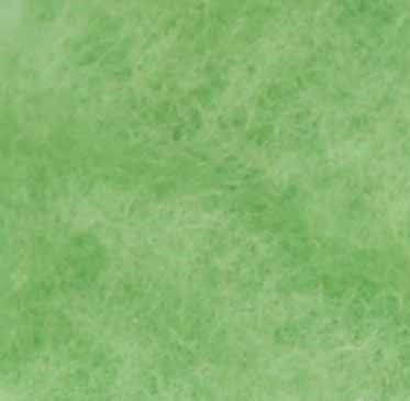 

Кардочес новозеландський