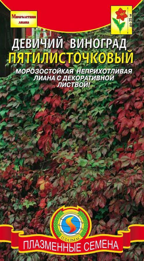 

Девичий виноград пятилисточковый 4 шт (Плазменные семена)