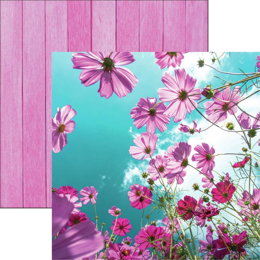 

Папір двосторонній - Cosmos Flower Field - Wildflower - Reminisce - 30x30