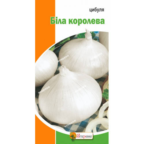 

Лук Белая Королева 1 г, семена Яскрава