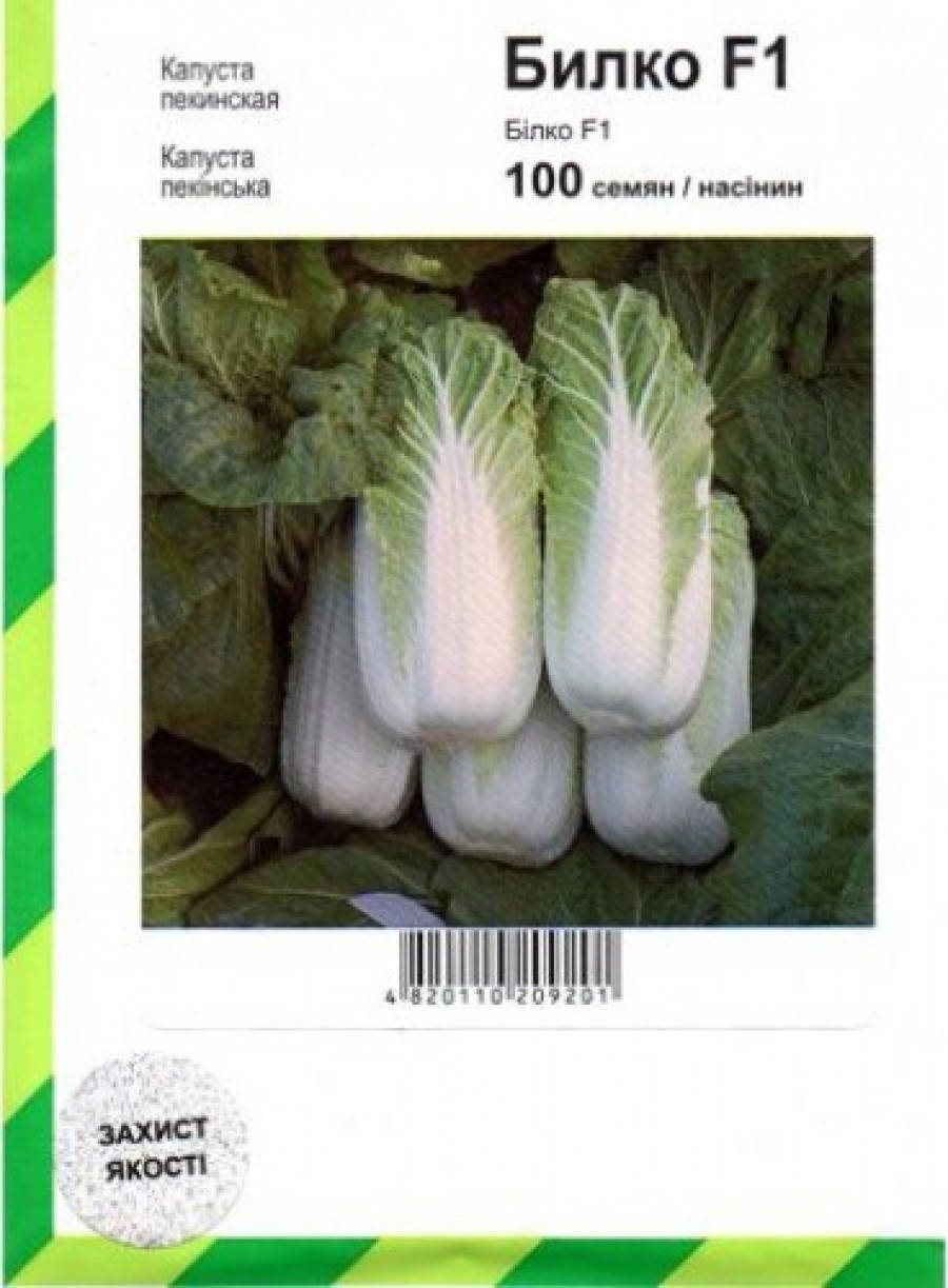 

Семена капуста пекинская Билко поздняя 100 сем Syngenta 1683