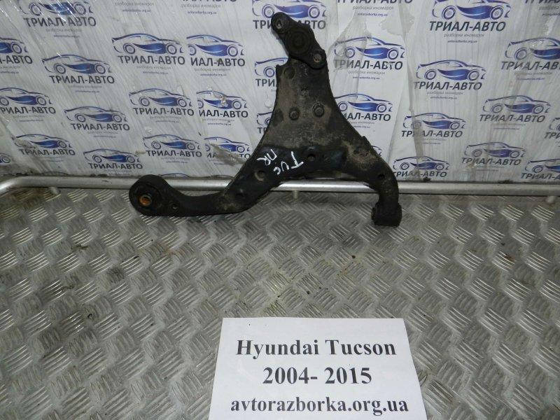 

Рычаг передний правый Hyundai Tucson 2.0 ДИЗЕЛЬ 2004 (б/у)
