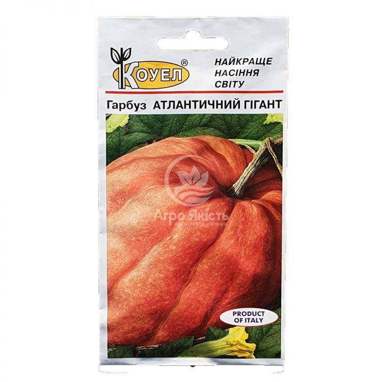 

Гарбуз Атлантичний Гігант 10 насінин (Коуел)