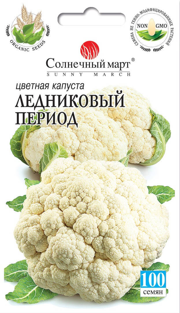

Капуста цветная Ледниковый период, 100шт.