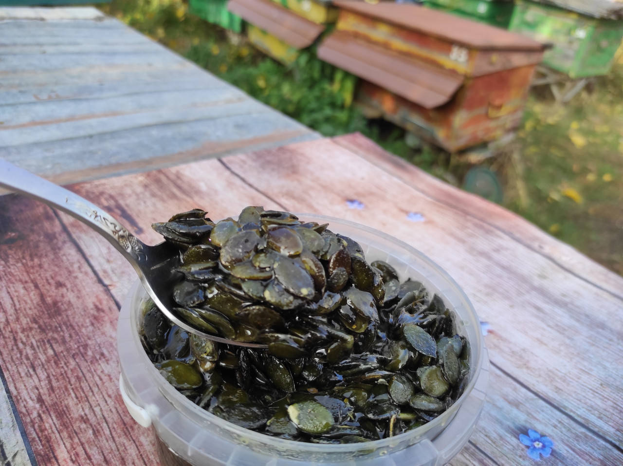 

Семечки тыквы в меду подсолнуха 1 л (1200 грам)
