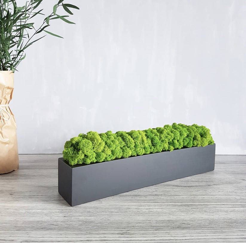 

Деревянный кашпо со стабилизированным мхом 40 см./Декор из мха/Декор для дома /Декор из дерева Кашпо с мхом