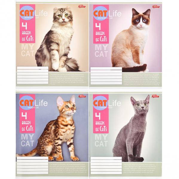 

Тетрадь 48 листов клетка "МРІЇ" / Cat LIFE