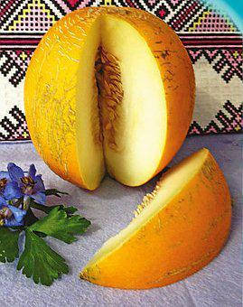 

Семена дыни Фортуна