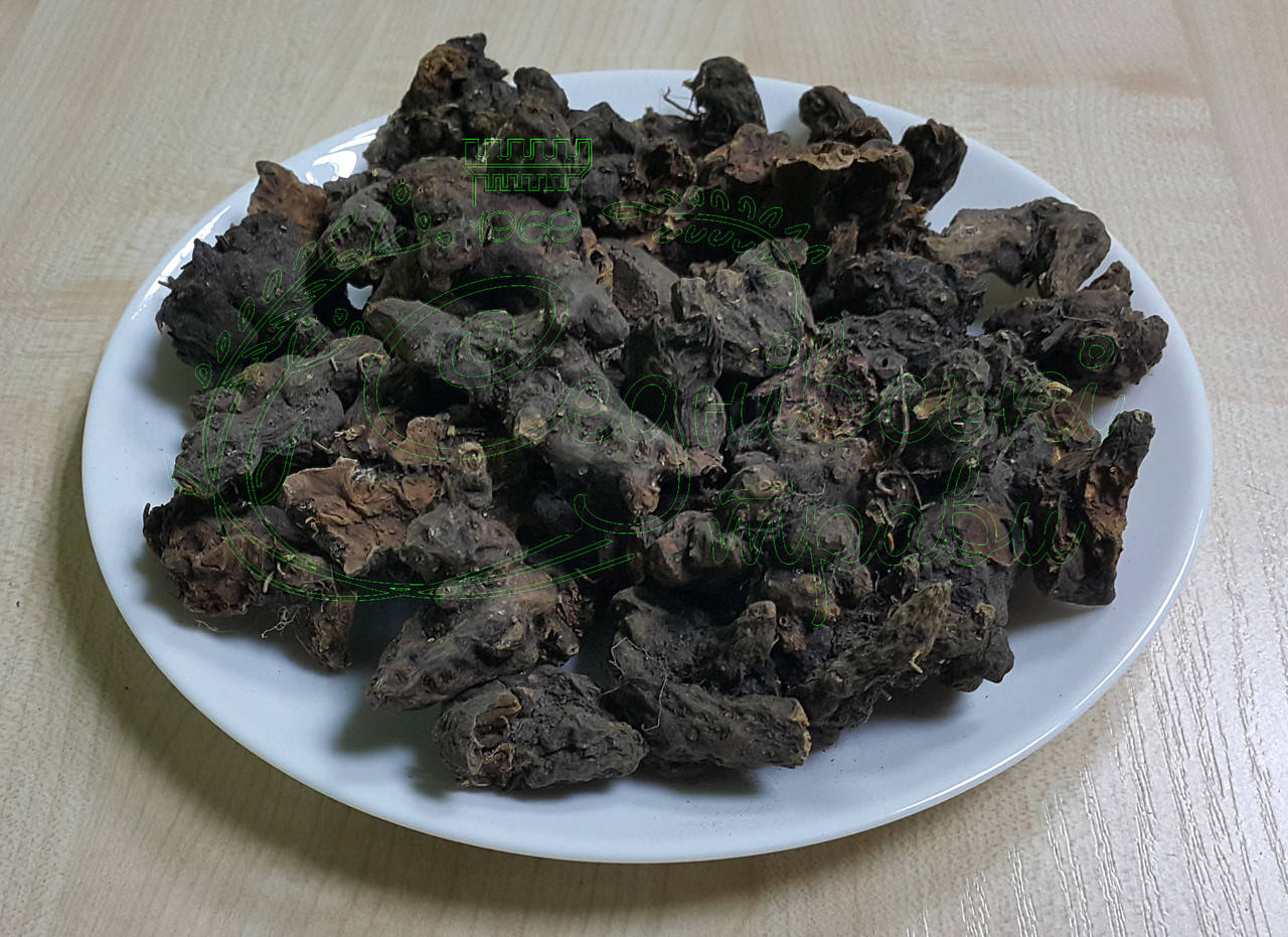 

Лапчатка прямостоячая 200г