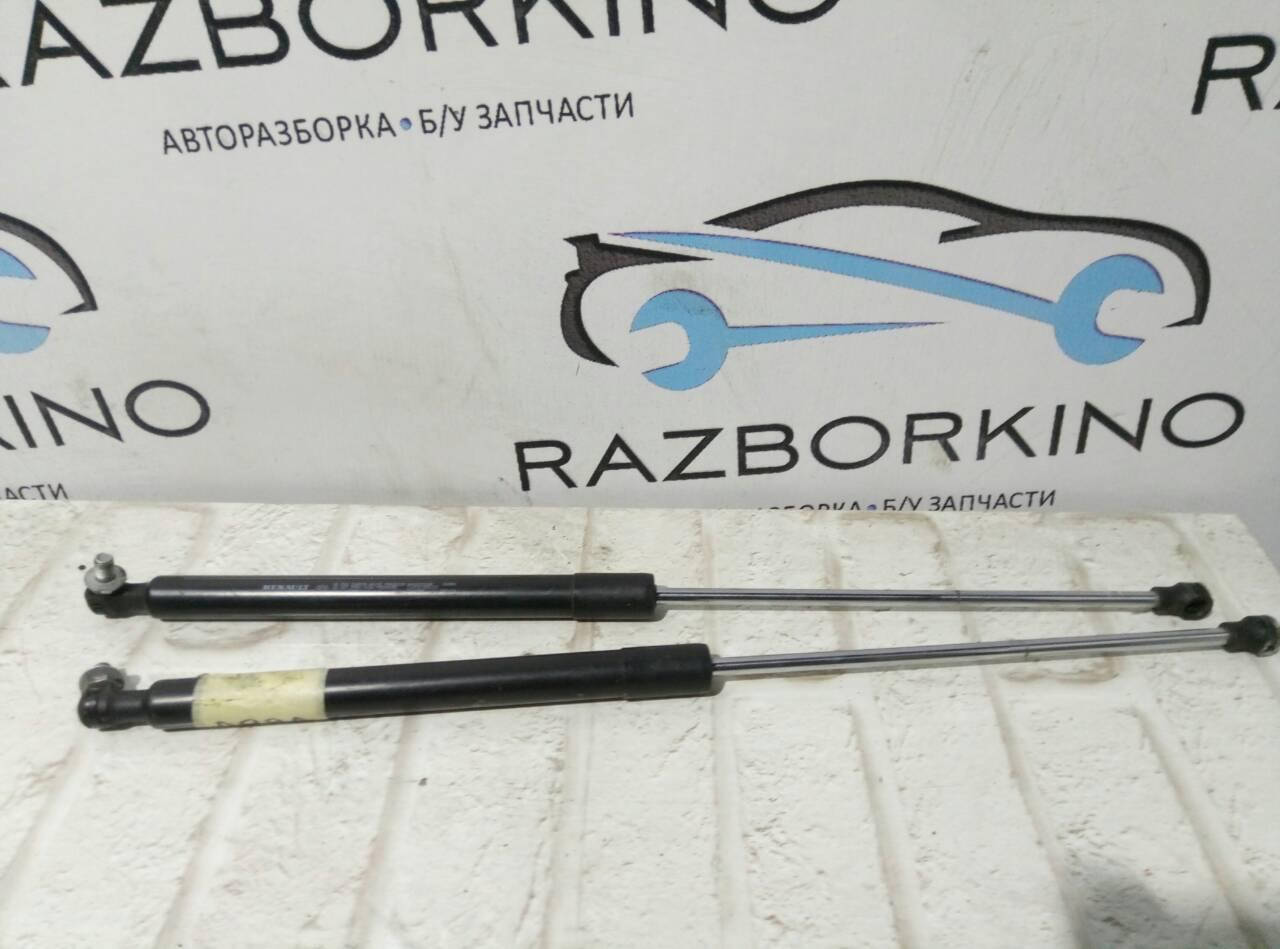 

Амортизаторы крышки багажника Renault Laguna III Coupe 844300006R (Рено Лагуна 3)