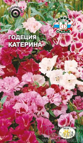 

Семена Годеция Катерина смесь 0,15 грамма Седек, Разные цвета
