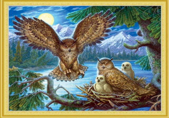 

50*40см Ночные совы, алмазная живопись, полная выкладка