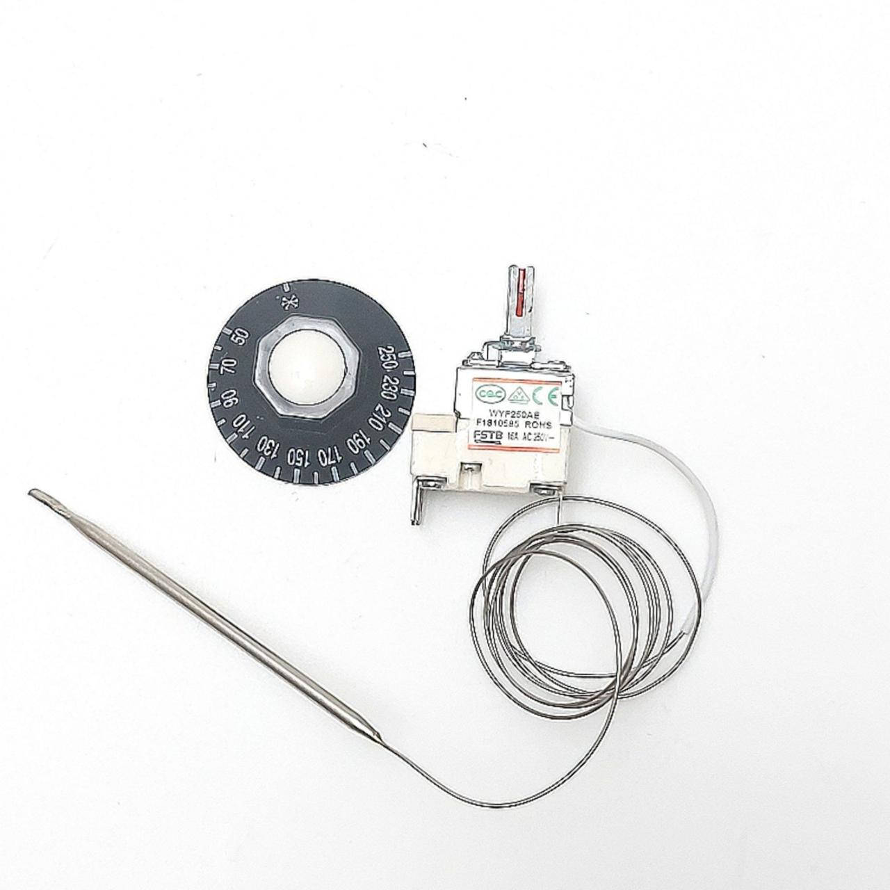 

Термостат 250°С капиллярный FSTB