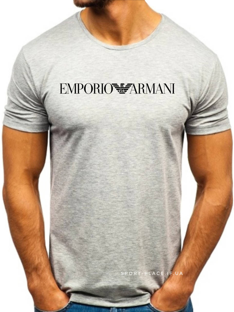 

Мужская футболка Emporio Armani (Армани) серая (большая эмблема) хлопок M, 48
