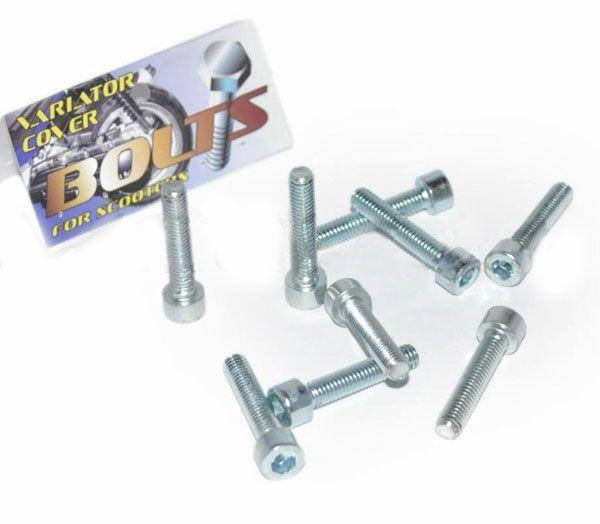 

Болты крышки вариатора 4T GY6 50 139QMB (колесо 10-12, шестигранный шлиц, 9шт)