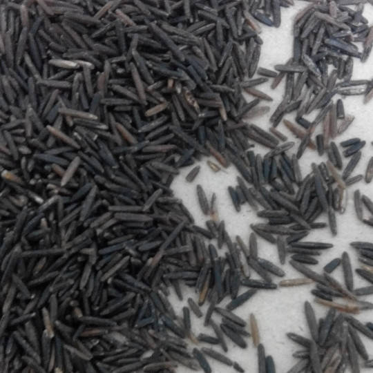 

Рис дикий черный (цицания акватика) 1 кг