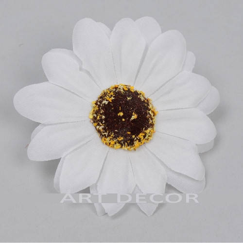 

Головка маргаритки белая, Белый