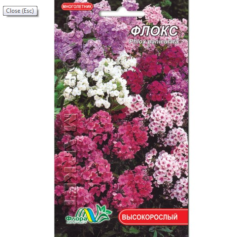 

Флокс смесь, многолетнее растение, семена цветы 0.3 г